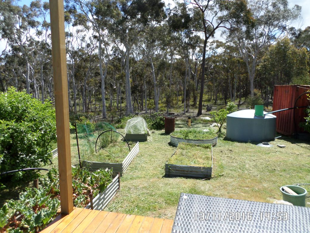 SAMSUNG CAMERA PICTURES